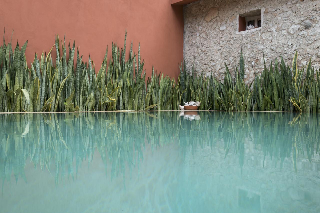 Casa de Camposampiero Hotel Boutique Mérida Extérieur photo